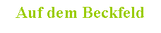 Textfeld: Auf dem Beckfeld